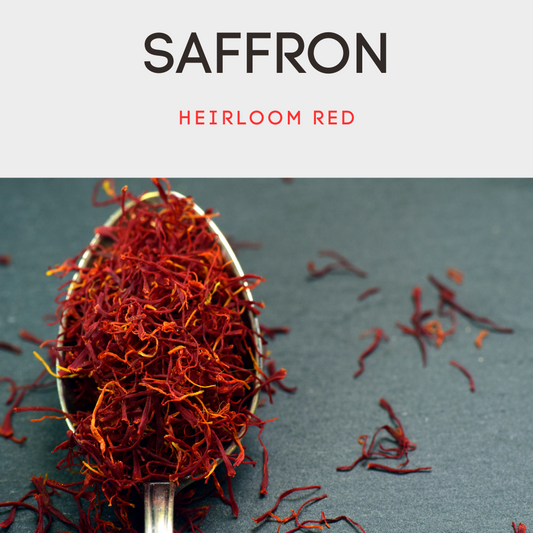The Golden Spice: Exploring the History, Science, and Health Benefits of Saffron